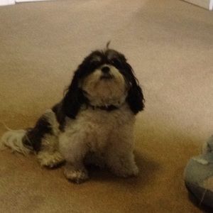 Meet your Posher, Lori